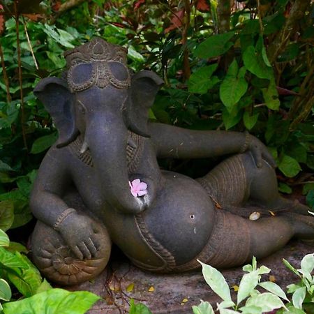 Gaia'S Garden Guest House Auroville Exterior foto